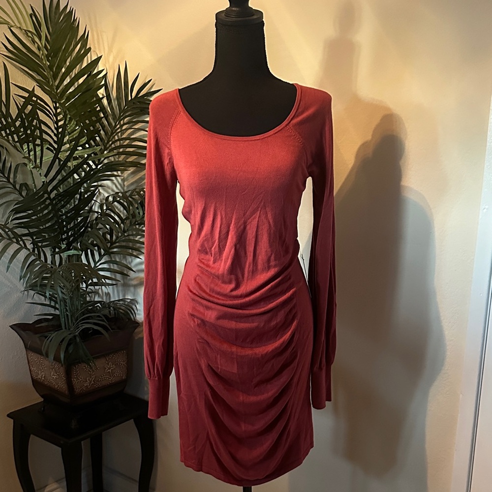 Express Long Sleeve Rust Dress
